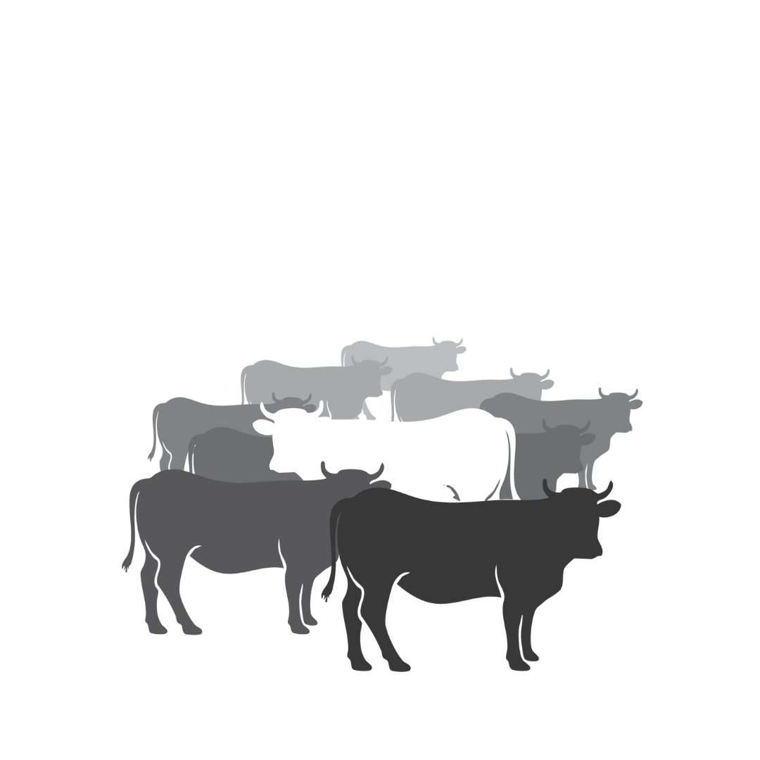 Thomas Massie Is My Spirit Animal | Women's Muscle Tank