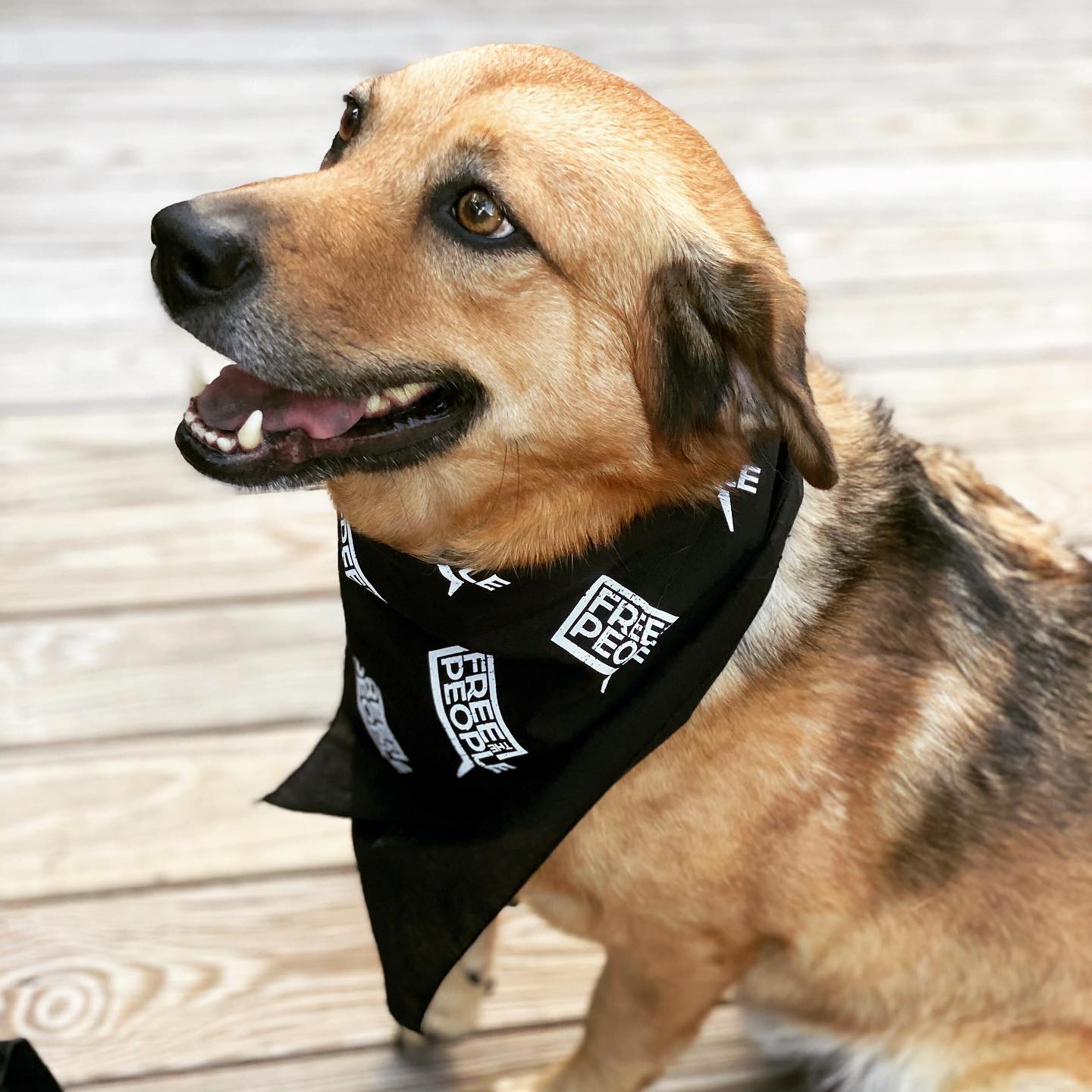 Free the People Bandana